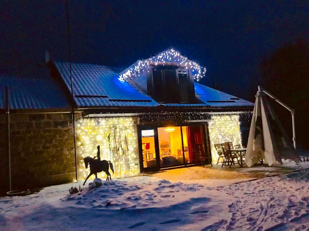 Дома для отпуска Husky House Kladkovka-25